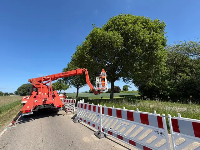 Hubsteiger mit Straßenabsperrung bei Baumarbeiten an einer Landstraße