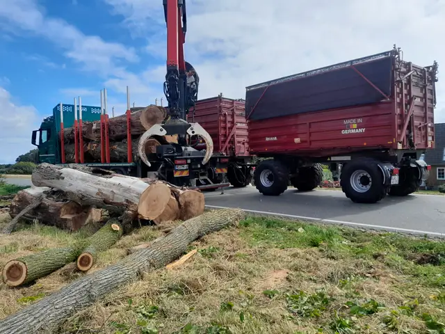 LKW mit Ladekran und Anhängern beim Abtransport von Stammholz