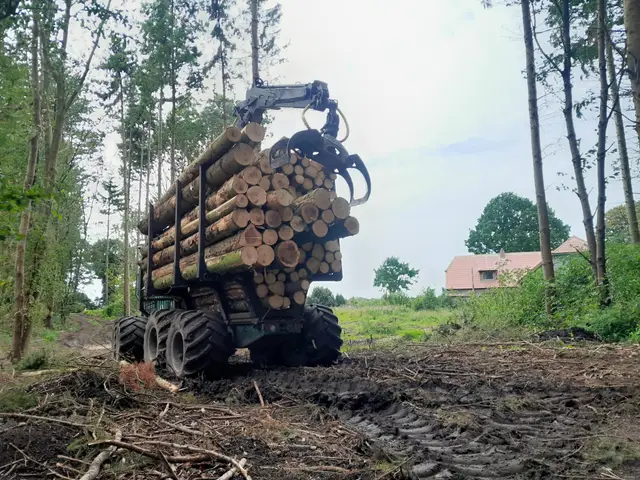 Rückewagen mit Stammholz bei Forstarbeiten